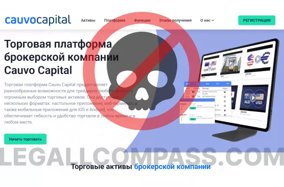 Трейдер выбирает торговую платформу — Cauvo Capital